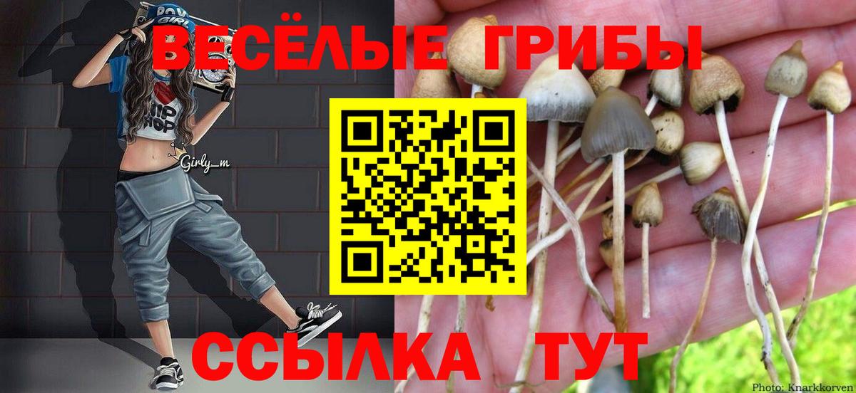 Альметьевск  Галлюциногенные грибы мухоморы  Галлюциногенные грибы мухоморы  Вход с VPN 